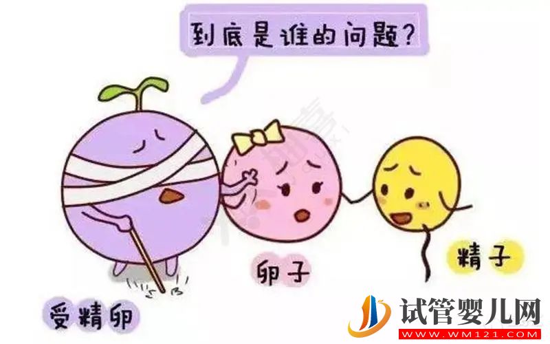 卵子质量 试管婴儿卵子质量真的没有办法提升吗?(图1)