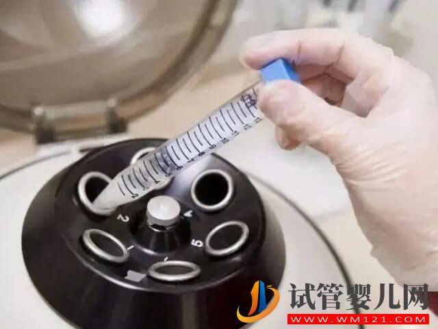 利用试管助孕的五个好处和五个坏处分别是哪些？(图2)