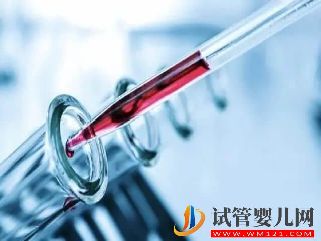 澳门做试管婴儿可以选胎儿男女性别么？
