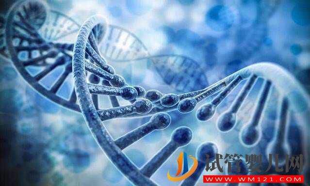 有遗传性疾病可以通过三代试管技术生育孩子吗(图2) 有遗传性疾病可以通过三代试管技术生育孩子吗(图2)
