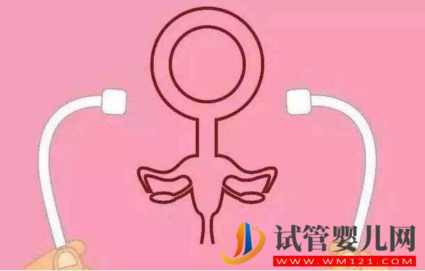 高龄女性卵巢功能低,试管手术可以做吗(图3) 高龄女性卵巢功能低,试管手术可以做吗(图3)