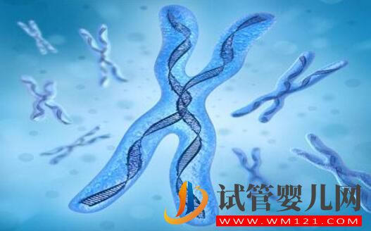 染色体平衡易位能做试管手术吗 要注意哪些问题(图3) 染色体平衡易位能做试管手术吗 要注意哪些问题(图3)