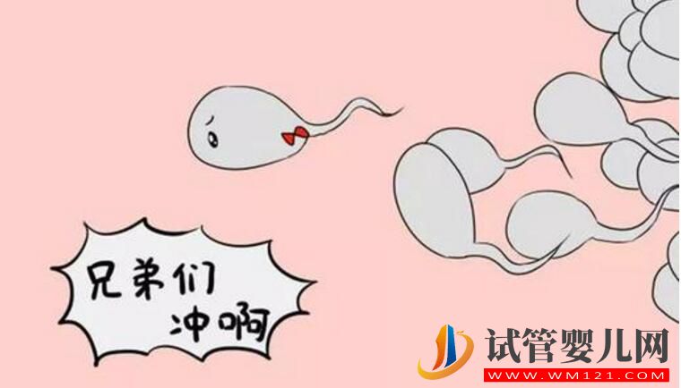 精子活力低做试管的成功率有是多少 如何有效提升成功率?(图1) 精子活力低做试管的成功率有是多少 如何有效提升成功率?(图1)