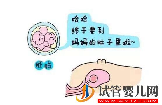 胚胎移植后几天会着床?有什么反应(图1) 都匀胚胎移植后几天会着床?有什么反应(图1)