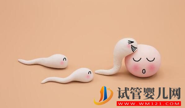 胚胎移植后几天会着床?有什么反应(图2) 都匀胚胎移植后几天会着床?有什么反应(图2)