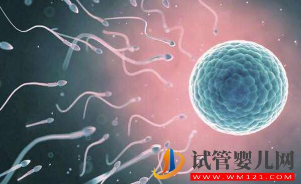 女人结扎了可以做试管婴儿吗?来看看吧(图3) 铜仁女人结扎了可以做试管婴儿吗?来看看吧(图3)