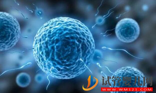 试管婴儿(IVF)没做好 可能会带来哪些风险(图4) 试管婴儿(IVF)没做好 可能会带来哪些风险(图4)