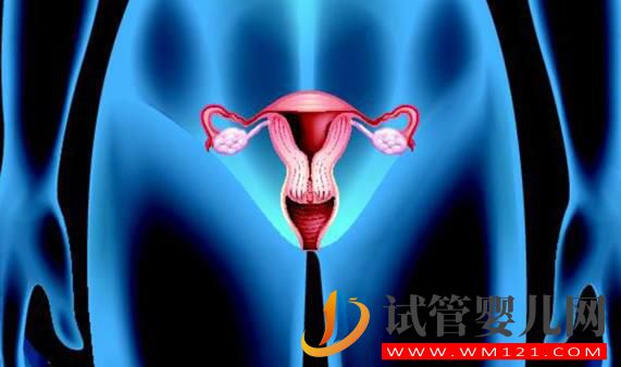 子宫腺肌症能做试管婴儿吗?应该如何备孕(图3) 子宫腺肌症能做试管婴儿吗?应该如何备孕(图3)