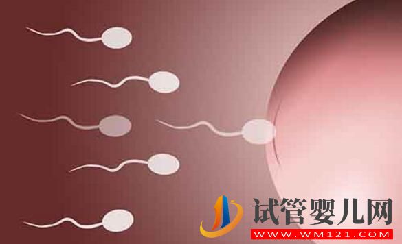 试管婴儿手术费用 影响试管婴儿费用的因素有哪些(图2) 试管婴儿手术费用 影响试管婴儿费用的因素有哪些(图2)
