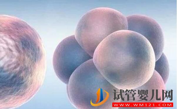 试管婴儿手术费用 影响试管婴儿费用的因素有哪些(图3) 试管婴儿手术费用 影响试管婴儿费用的因素有哪些(图3)