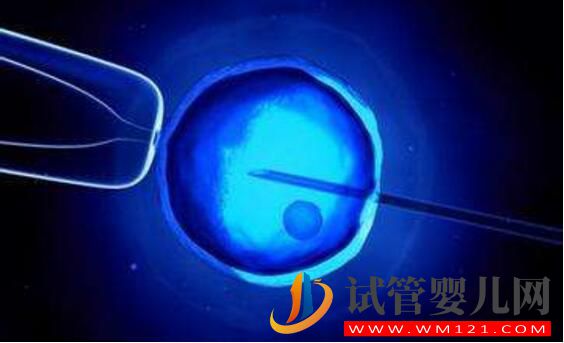 试管婴儿要在体外培育多长时间?时间越长越好吗?(图2) 试管婴儿要在体外培育多长时间?时间越长越好吗?(图2)