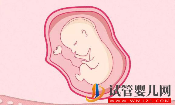 做试管婴儿后身体出现这些症状正常吗?(图1) 做试管婴儿后身体出现这些症状正常吗?(图1)
