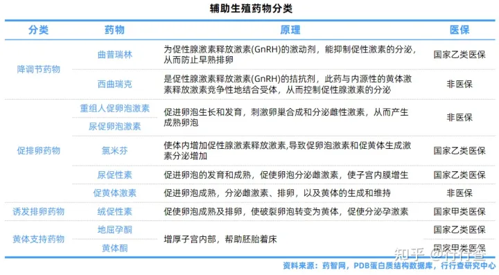 中国辅助生殖行业研究报告(图4) 中国辅助生殖行业研究报告(图4)