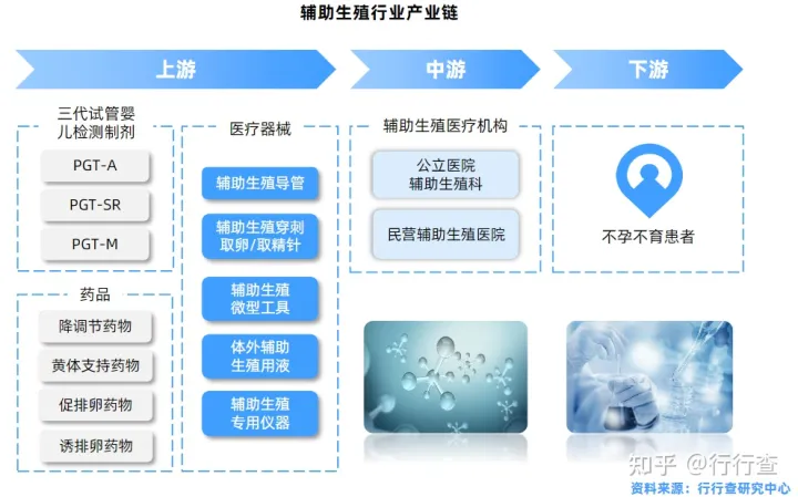 中国辅助生殖行业研究报告(图10) 中国辅助生殖行业研究报告(图10)