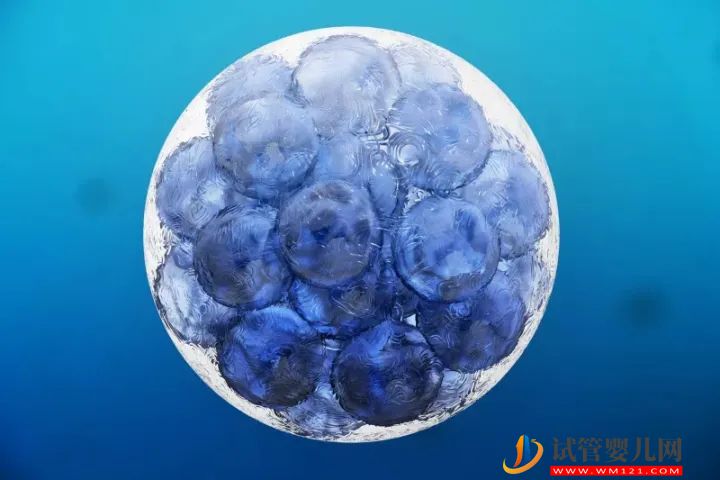 生育率奇低的新加坡,到底该不该允许冻卵子