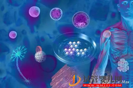 近期干细胞研究进展汇总!(图1) 近期干细胞研究进展汇总!(图1)