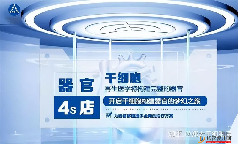 什么是干细胞,干细胞有哪些“奇特”功效(图2) 什么是干细胞,干细胞有哪些“奇特”功效(图2)
