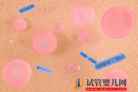 科普|我们所说的干细胞,到底是什么?(图1) 我们所说的干细胞,到底是什么?(图1)
