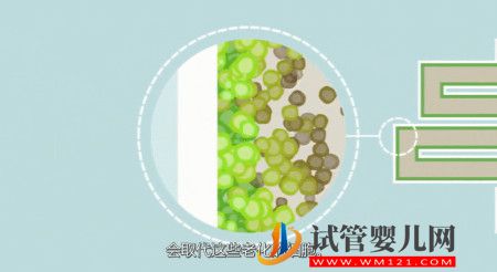 科普|我们所说的干细胞,到底是什么?(图2) 我们所说的干细胞,到底是什么?(图2)