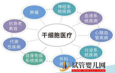 科普|我们所说的干细胞,到底是什么?(图4) 我们所说的干细胞,到底是什么?(图4)