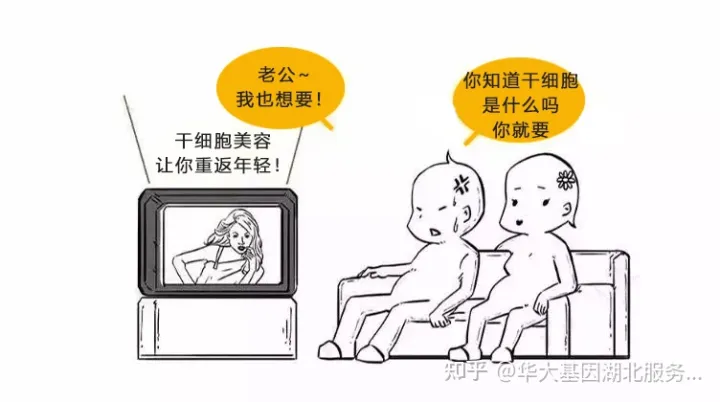 什么是干细胞?一文让你读懂!(图1) 什么是干细胞?一文让你读懂!(图1)