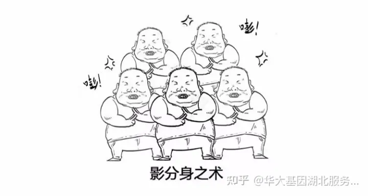 什么是干细胞?一文让你读懂!(图5) 什么是干细胞?一文让你读懂!(图5)