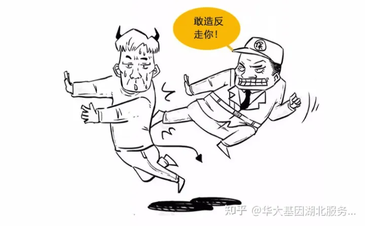 什么是干细胞?一文让你读懂!(图16) 什么是干细胞?一文让你读懂!(图10)