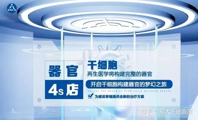 干细胞简介——什么是干细胞?(图3) 干细胞简介——什么是干细胞?(图3)