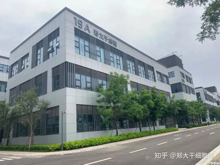 干细胞简介——什么是干细胞?(图6) 干细胞简介——什么是干细胞?(图6)