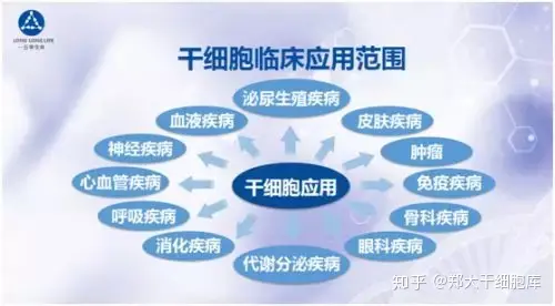 干细胞简介——什么是干细胞?(图5) 干细胞简介——什么是干细胞?(图5)