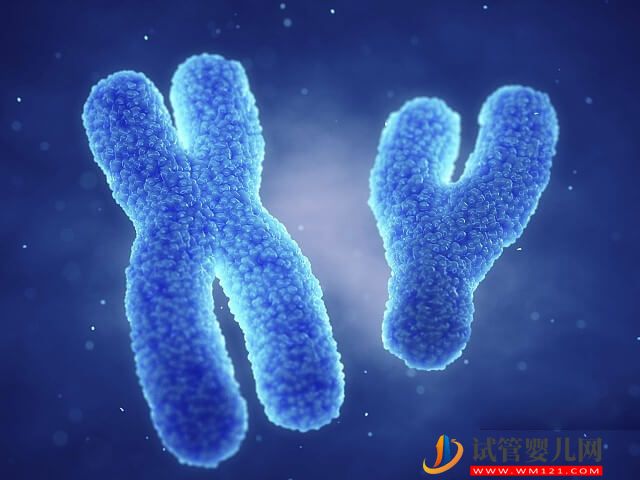夫妻2号染色体微缺失不必担心遗传给下一代吗？