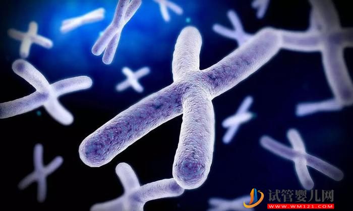 Y染色体完整测序或改善细菌DNA研究