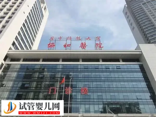 武汉协和医院试管婴儿费用多少