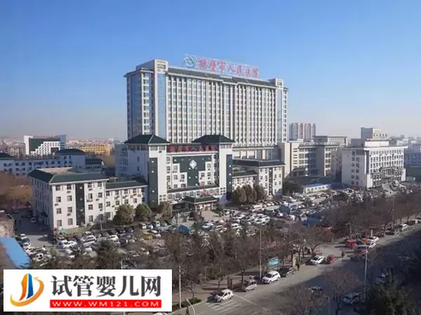 鹤壁市人民医院人工授精多少钱