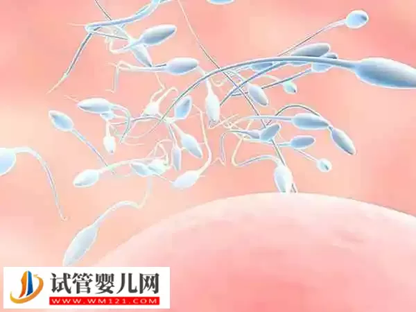 孕妇脖子变黑是生男孩还是女孩