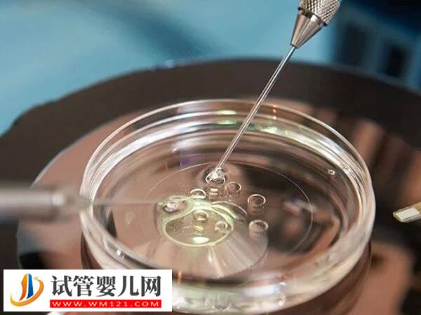 泰国权威三代试管婴儿医院汇总，杰特宁、BNH医院都在里面
