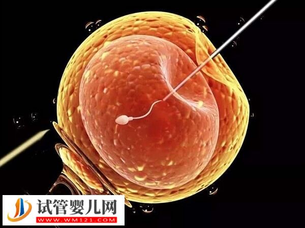 太原市中心医院做第二代试管婴儿流程：一促二移历时4月