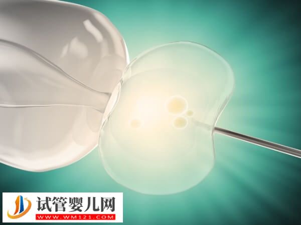 内分泌失调可不可以做试管婴儿