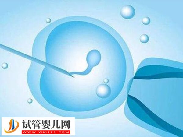 北京协和医院试管婴儿成功率