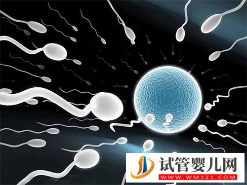 39岁试管长方案促排后能取到几个卵？(图1)