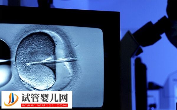 西藏做试管的流程有哪些