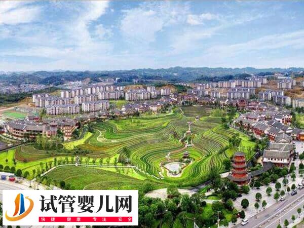 毕节有哪些生殖医院