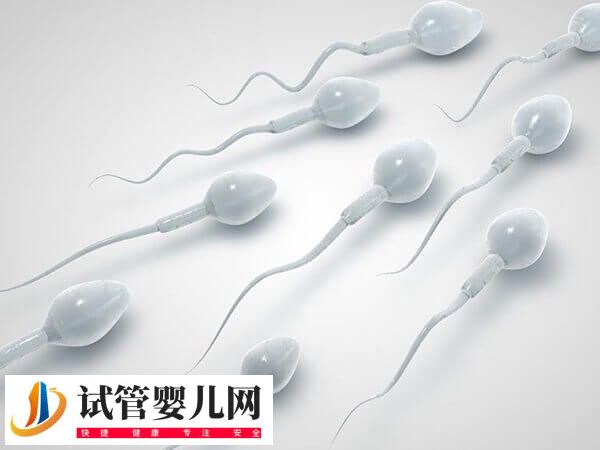 重庆人工授精要多少钱呀