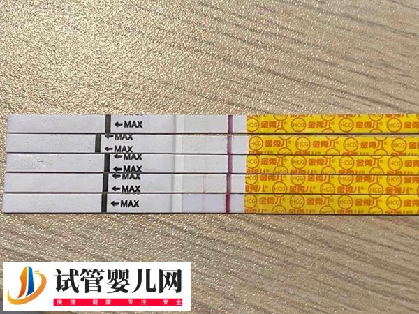 移植4bb囊胚11天为什么白板