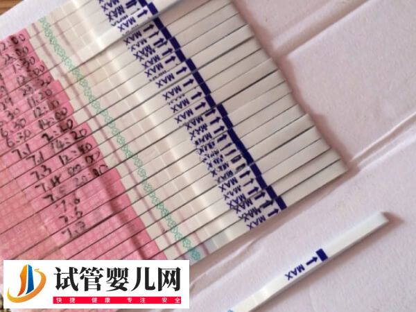 胚胎移植后第10天测不到是什么情况