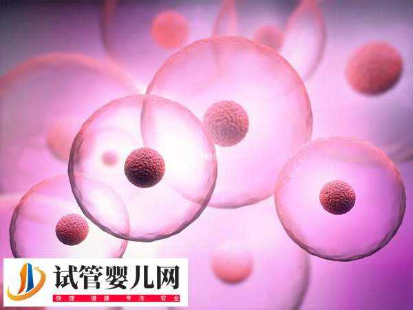 哪个国家可以做第四代试管婴儿