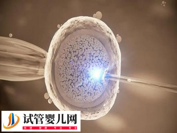 前往北京做试管还是天津比较好