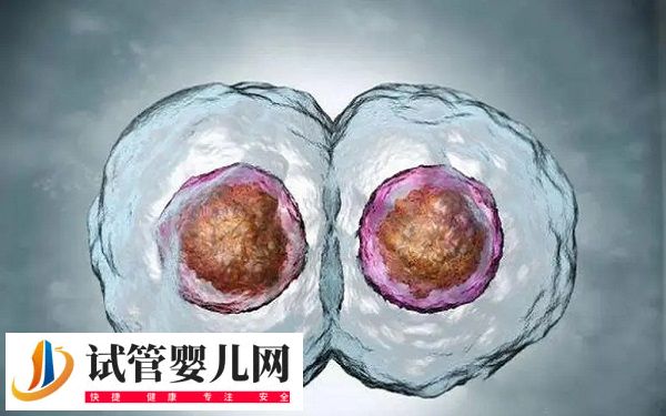 试管降调后还能不能自然怀孕