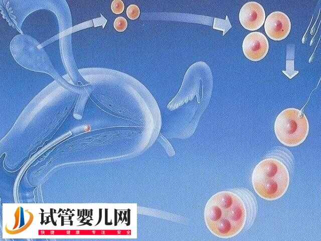 试管婴儿不适用于哪些人