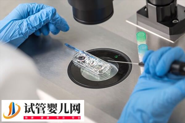 高龄试管移植前怎么调理